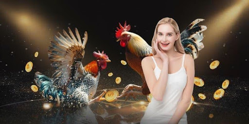 Các Loại Hình Đá Gà Phổ Biến Trong Ga28